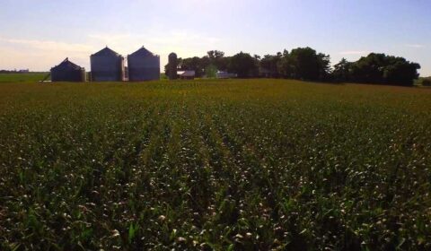 It's Harvest Time