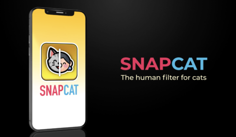 SnapCat: The Human Filter for Cats