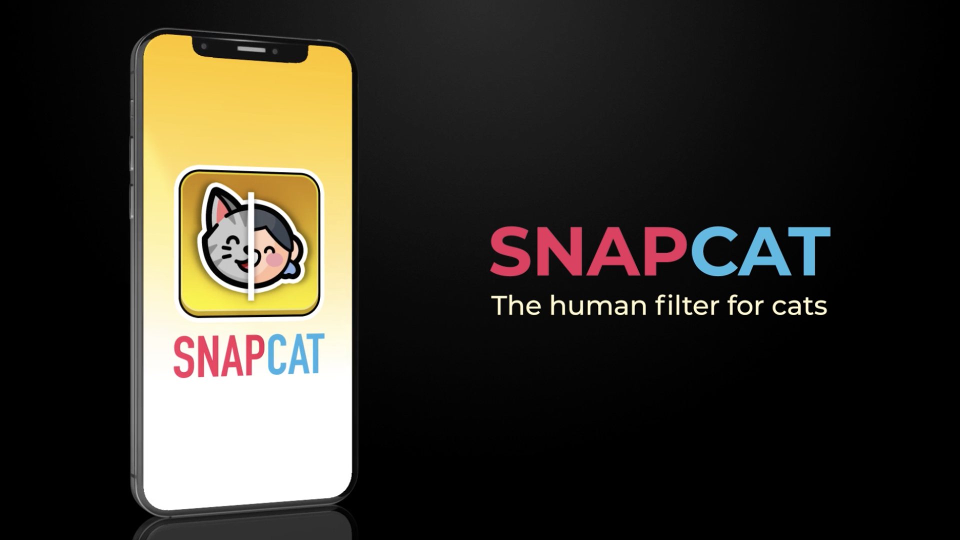 SnapCat The Human Filter for Cats Applied Art & Technology