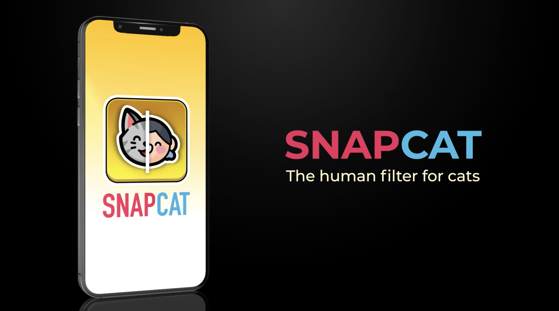 SnapCat The Human Filter for Cats Applied Art & Technology